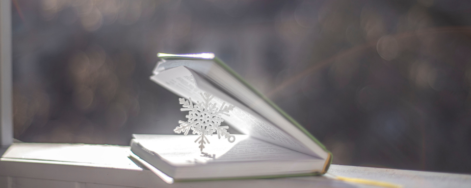 An book sits on a windowsill, propped open by a snowflake ornament.