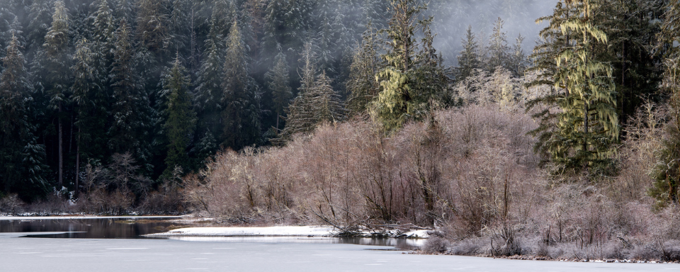 The winter shoreline of Fairy Lake, British Columbia.