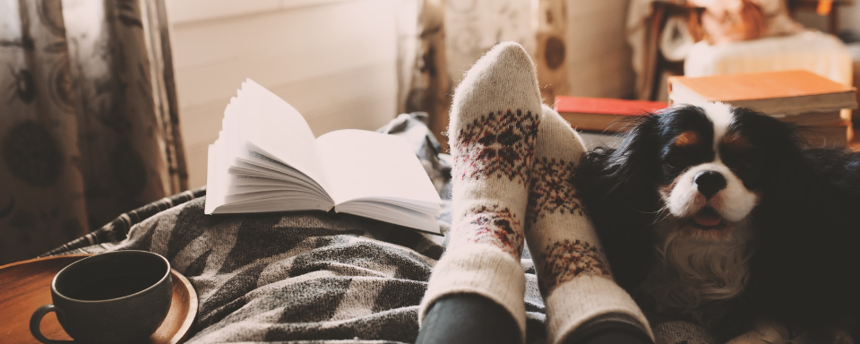 A cozy bed on which rests legs clad in warm socks, a small dog, a book, and a cup.