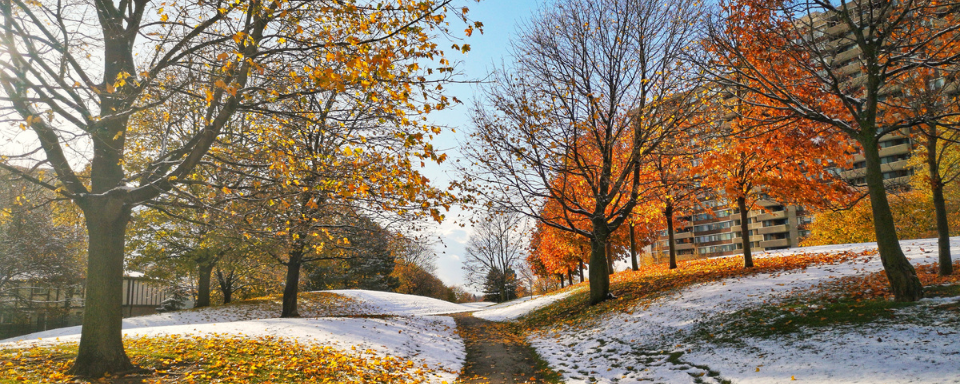 A path through a park. The trees are covered in bright orange leaves and there are patches of snow on the ground.