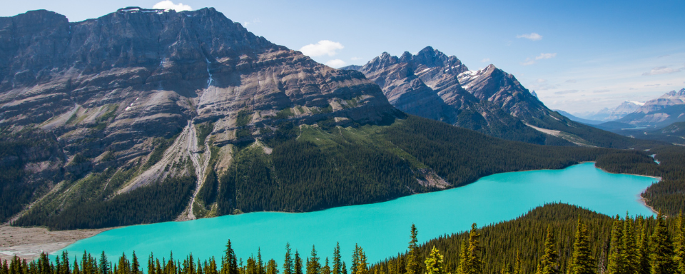 A view of the stunning turquoise waters of Lake Peyto, Jasper National Park, surrounded by mountains.
