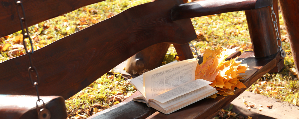 Un livre ouvert sur un balançoire en bois foncé. L'herbe et les feuilles environnantes prennent des couleurs automnales.