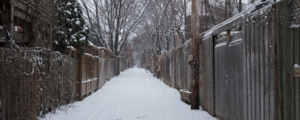 A snowy alleyway bordered with wooden fences.