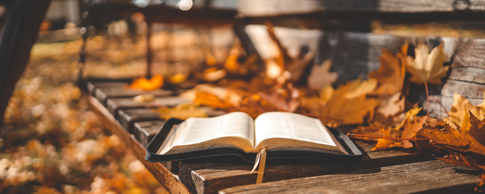 Un livre ouvert sur un banc en bois, entouré de feuillages d'automne.