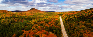 A highway traverses rolling hills of autumn foliage in Northern Québec, Canada.