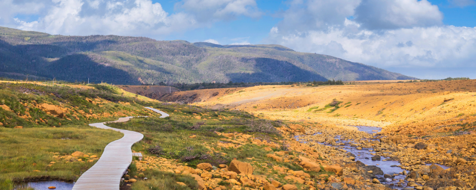 Une promenade sur le sentier Tablelands, parc national du Gros-Morne. Le paysage est moitié herbeux, moitié pierre jaune.