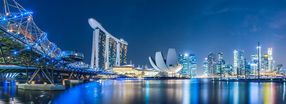Virtual Trade Mission to Singapore